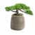 acbf76ebcecab22b00c1eb7e688302bf.jpg