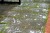 272de7082694bbda30de715d10d72dea