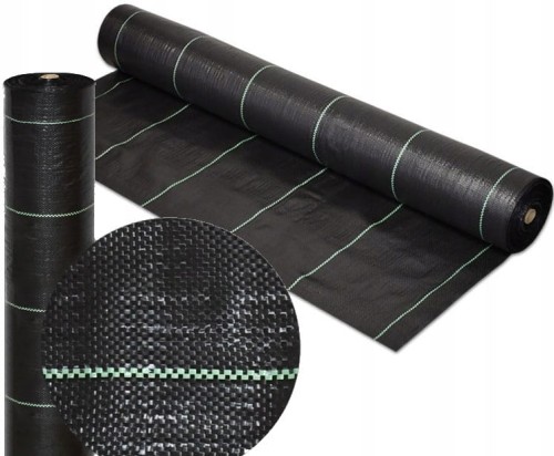 4273ebbb74dcc99854506cbd772319b4