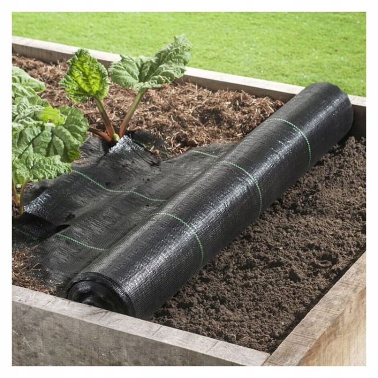 9815f3a5a439aec35d83d83fc80ef22a